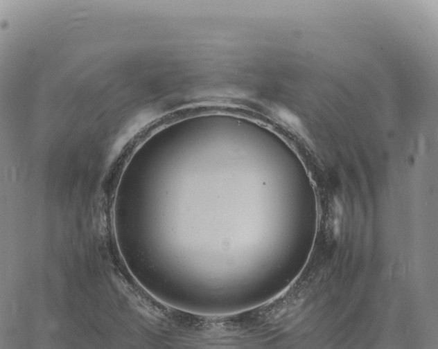 X0000061761360200512091650