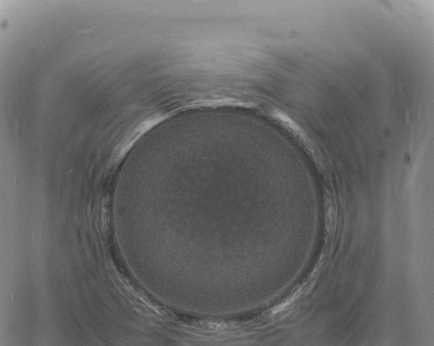 X0000061761361200512091650