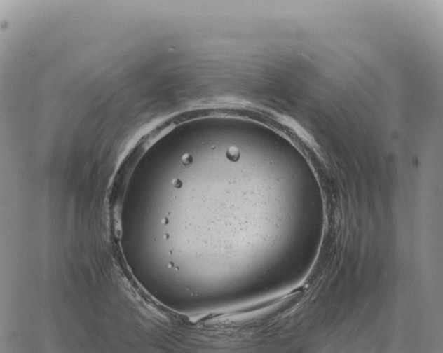 X0000061761364200512091650