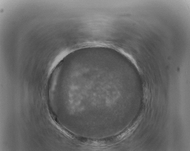 X0000061761365200512091650