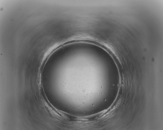 X0000061761366200512091650