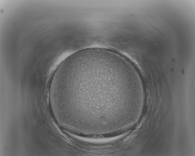 X0000061761367200512091650