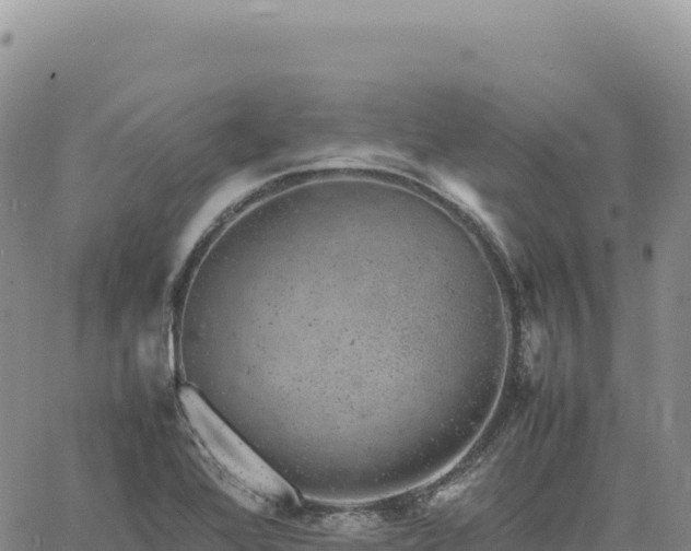 X0000061761368200512091650