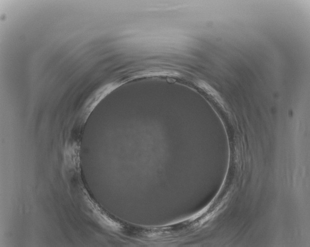 X0000061761369200512091650