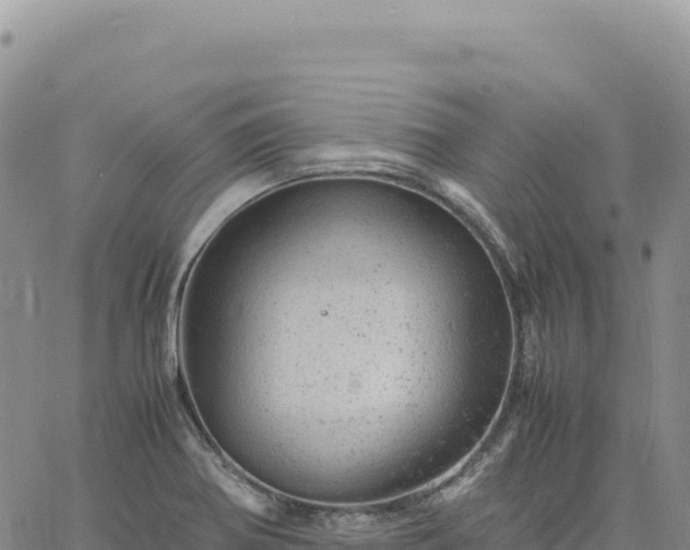 X0000061761370200512091650