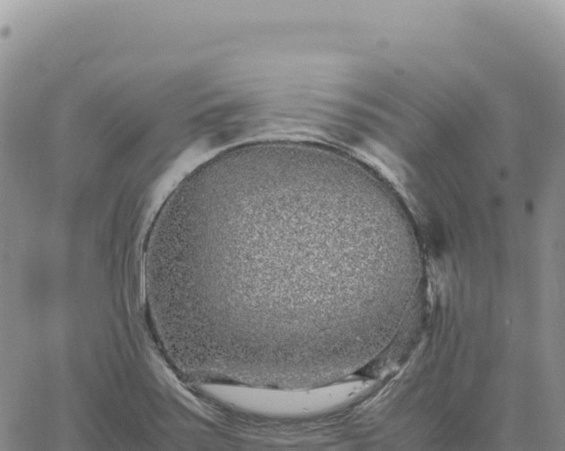 X0000061761371200512091650