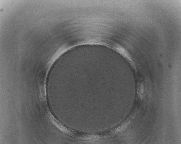 X0000061761372200512091650