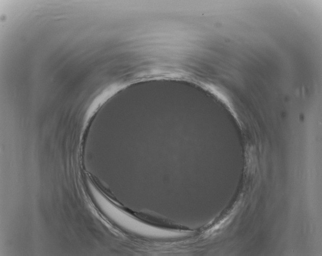 X0000061761373200512091650