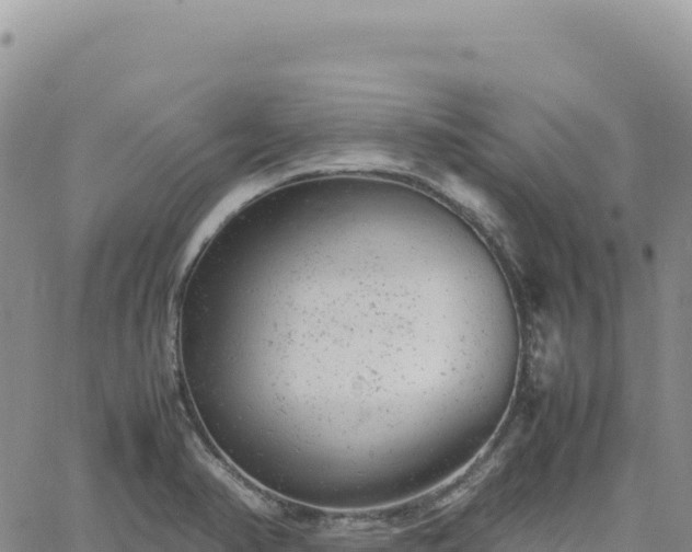 X0000061761374200512091650