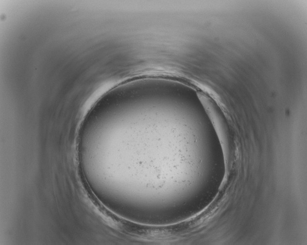 X0000061761375200512091650