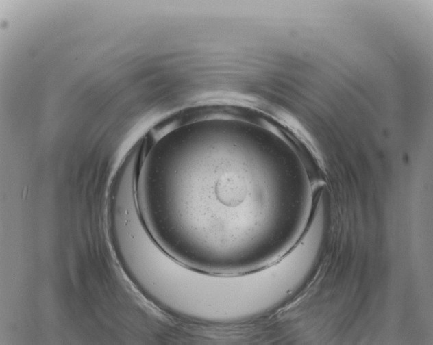 X0000061761376200512091650