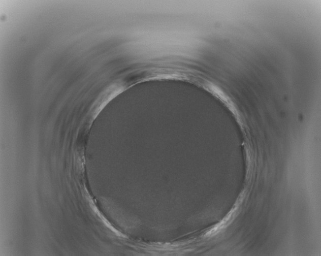 X0000061761377200512091650