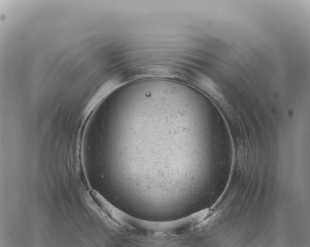 X0000061761378200512091650