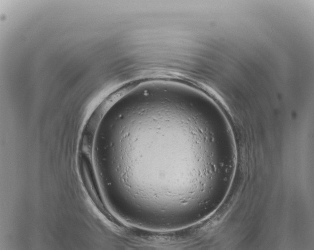 X0000061761379200512091650