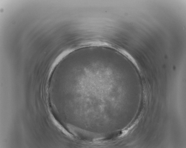 X0000061761381200512091650