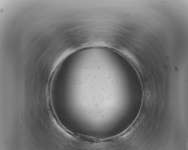 X0000061761382200512091650