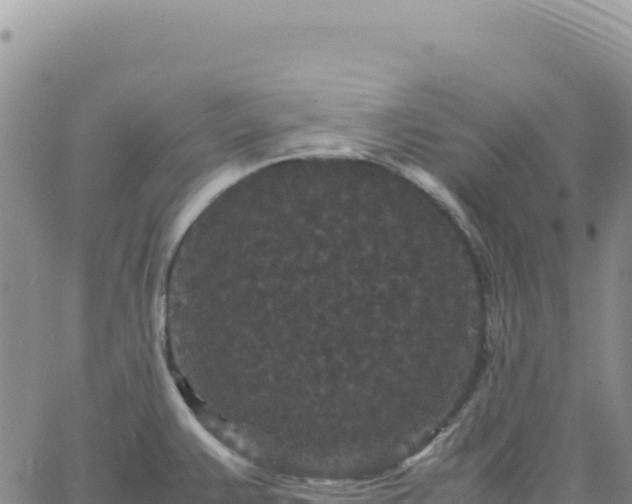 X0000061761383200512091650