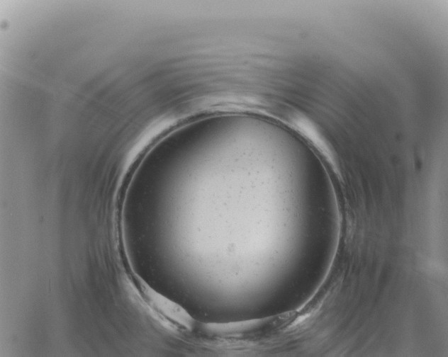 X0000061761384200512091650