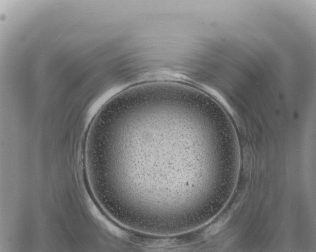 X0000061761387200512091650