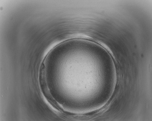 X0000061761391200512091650