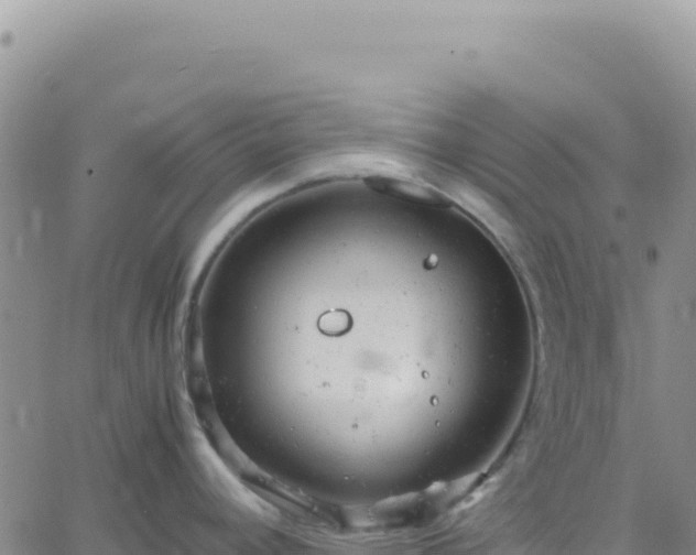 X0000061761392200512091650