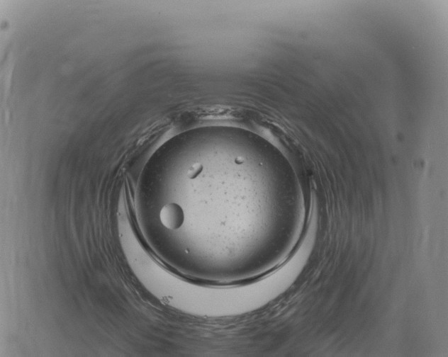 X0000061761394200512091649