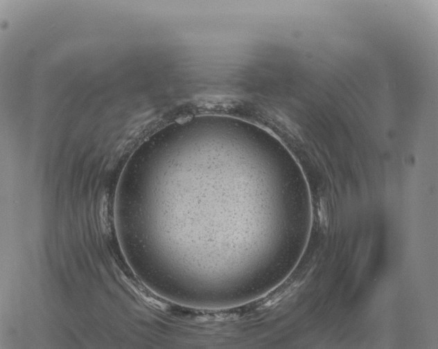 X0000061761396200512091649