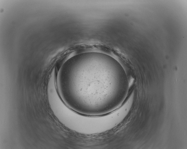 X0000061761398200512091649