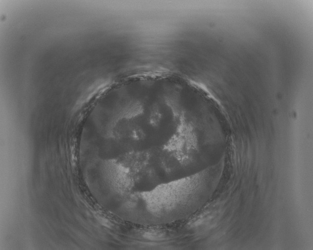 X0000061761399200512091649