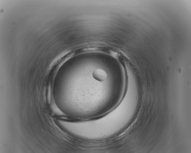 X0000061761402200512091649