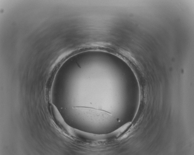 X0000061761404200512091649