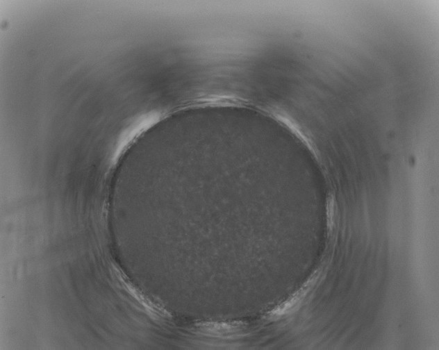 X0000061761405200512091649