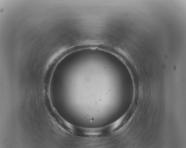 X0000061761406200512091649