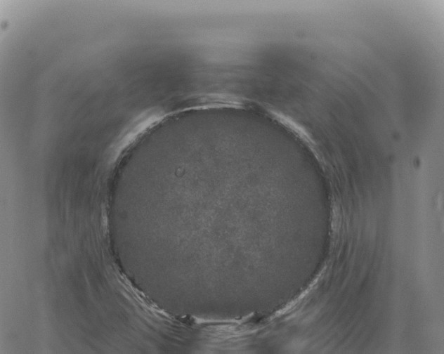 X0000061761407200512091649