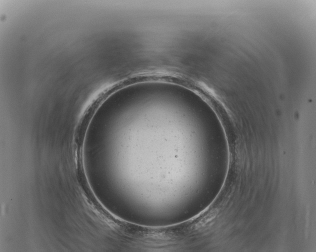 X0000061761408200512091649