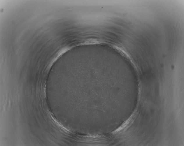 X0000061761409200512091649