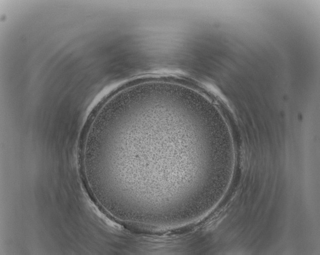 X0000061761412200512091649