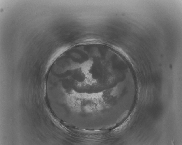 X0000061761413200512091649