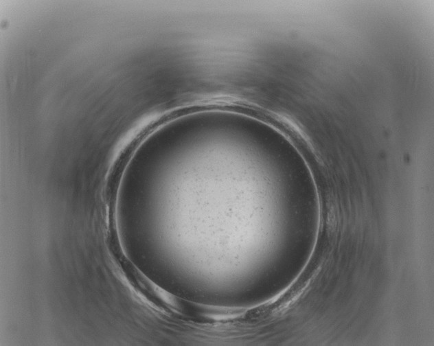 X0000061761414200512091649