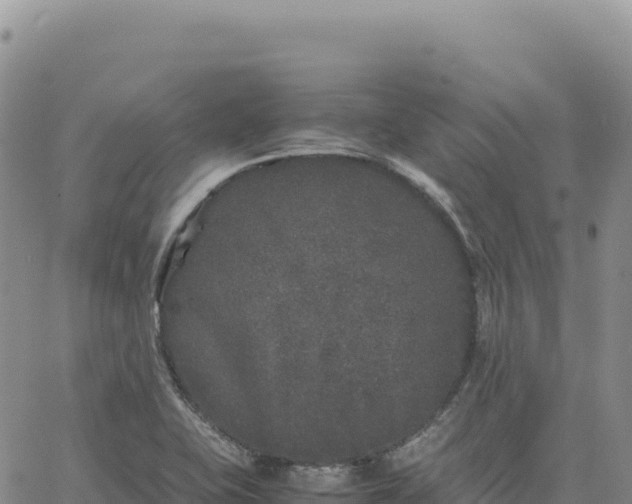 X0000061761415200512091649