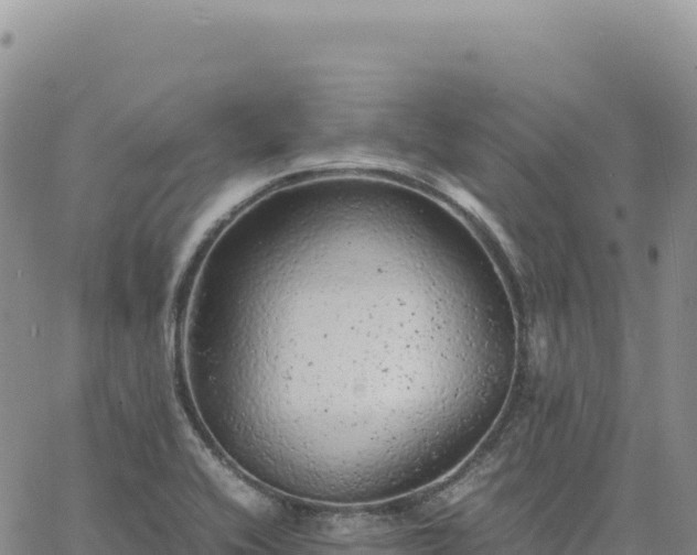 X0000061761416200512091649