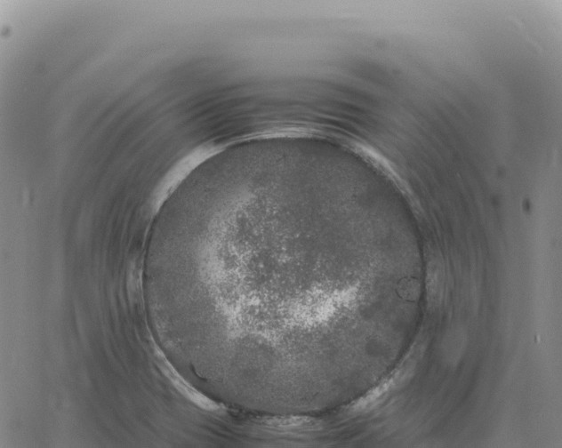 X0000061761417200512091649