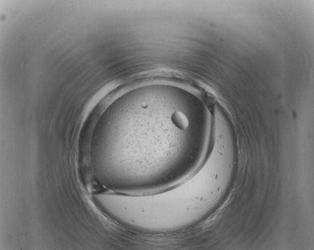 X0000061761418200512091649