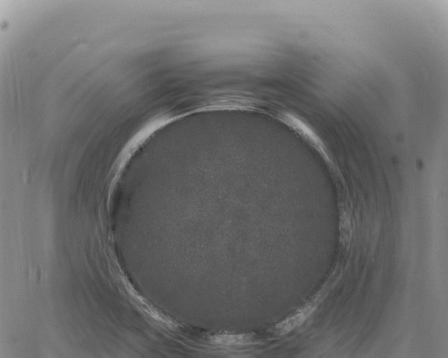 X0000061761419200512091649