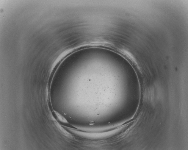 X0000061761420200512091649