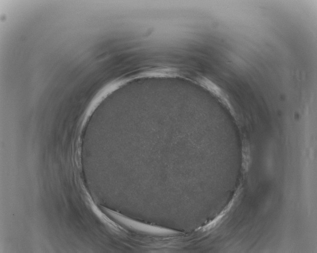 X0000061761421200512091649