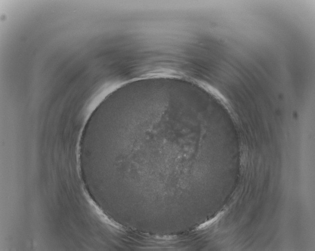 X0000061761423200512091650