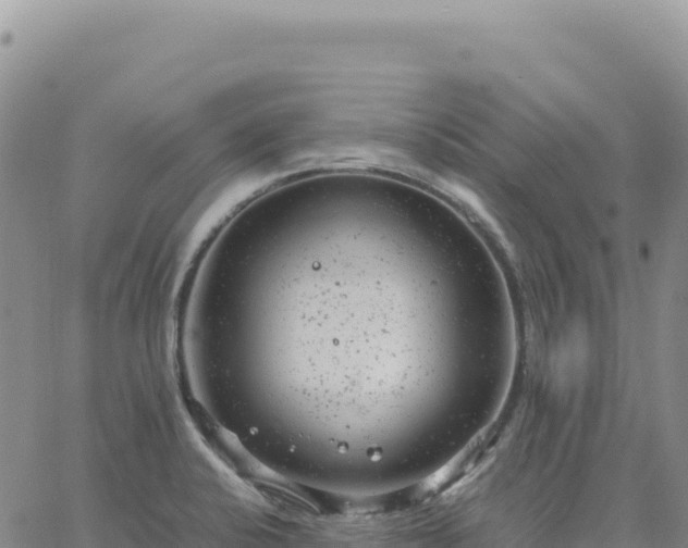 X0000061761424200512091650