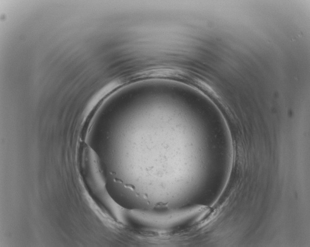 X0000061761426200512091650