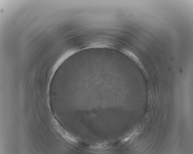 X0000061761427200512091650